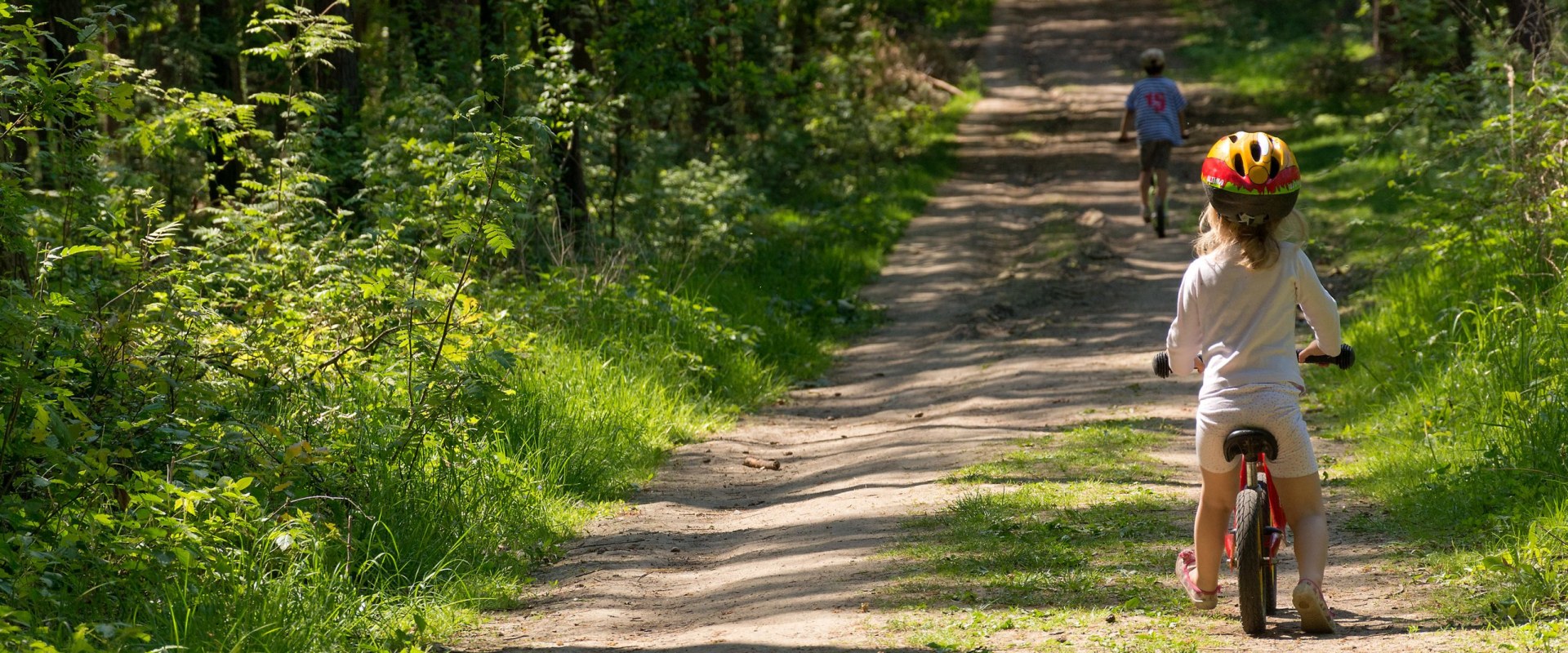 Safety Measures for Students Walking or Biking to School in Colorado Springs